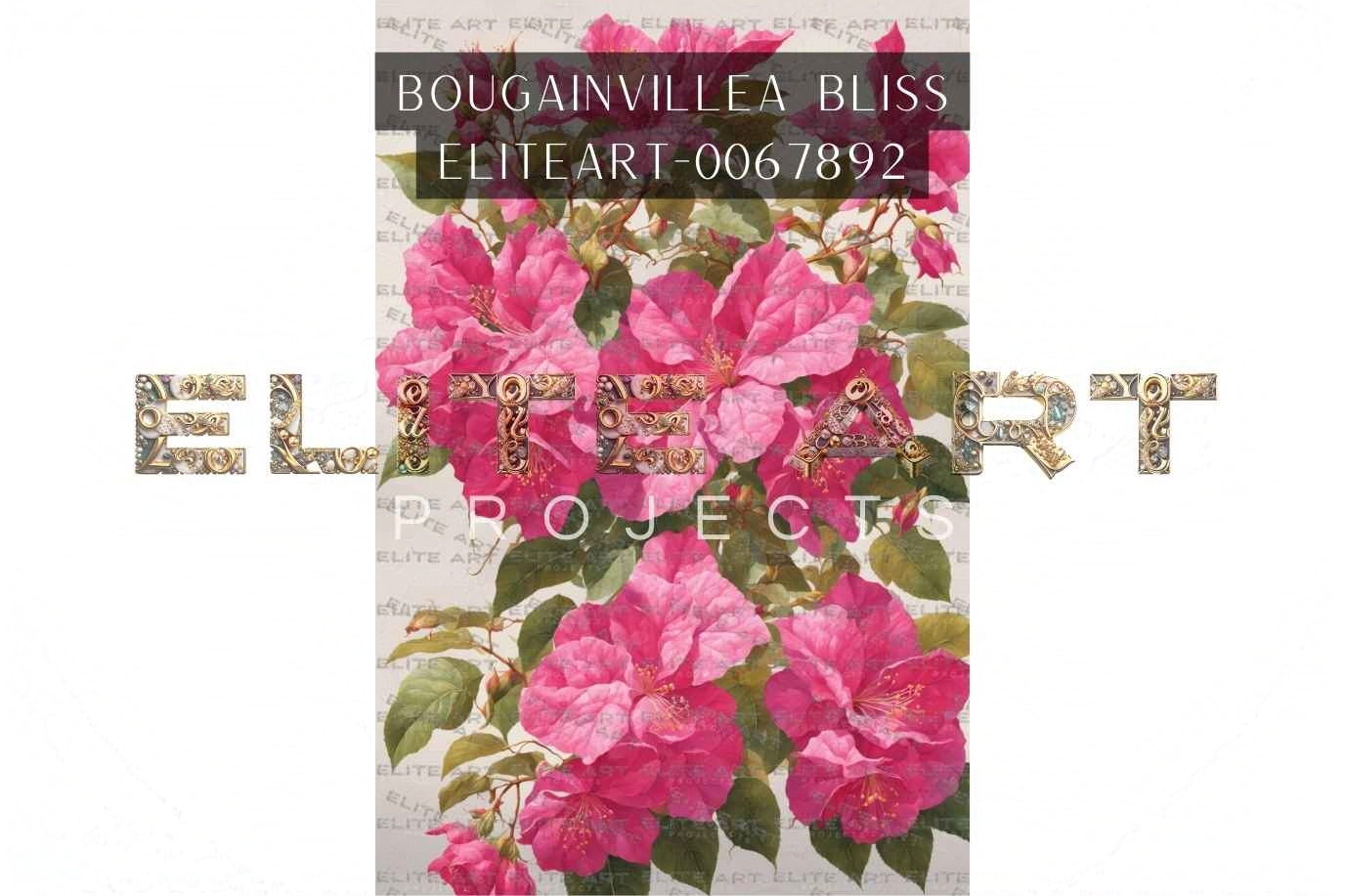 Bougainvillea Bliss flower